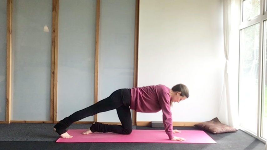 Be Mindful - Yin for the Back (24 mins)